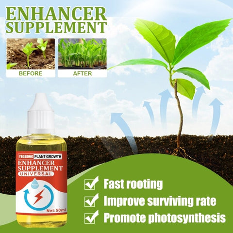 PLANT GROWTH ENHANCER SUPPLEMENT (BUY 1 GET 1 FREE) Everrd