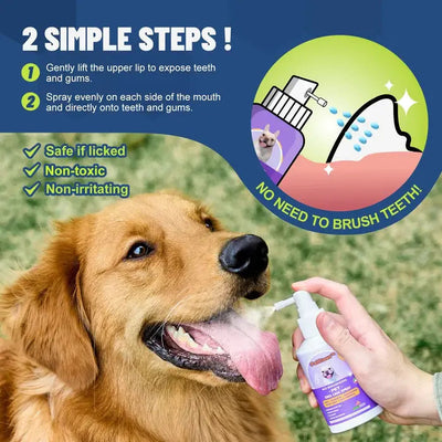 PetClean™ Teeth Cleaning Spray for Dogs & Cats, Eliminate Bad Breath, Targets Tartar & Plaque, Without Brushing - EVERRD USA