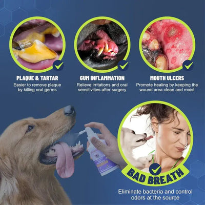 PetClean™ Teeth Cleaning Spray for Dogs & Cats, Eliminate Bad Breath, Targets Tartar & Plaque, Without Brushing - EVERRD USA