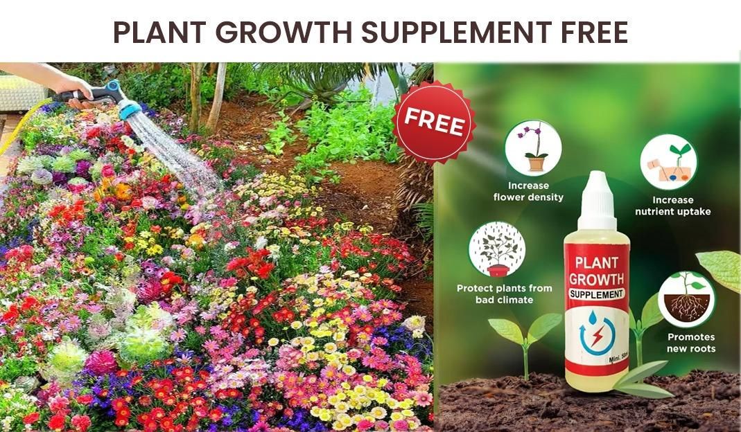 Varieties of Flower Seeds (Pack of 100) + Plant Growth Supplement Free!! Everrd