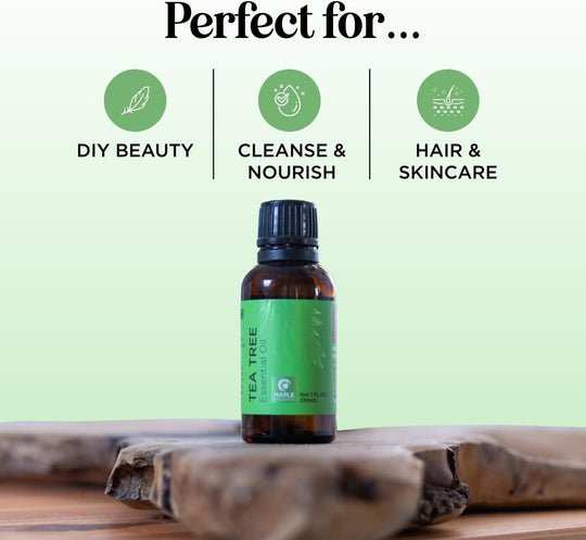 Pure Tea Tree Oil for Skin - 100% Pure Tea Tree Essential Oil for Scalp Care Aromatherapy and Natural Cleaning Solution - Super Potent AAA Non GMO Australian Tea Tree Oil for Hair Skin and Nails