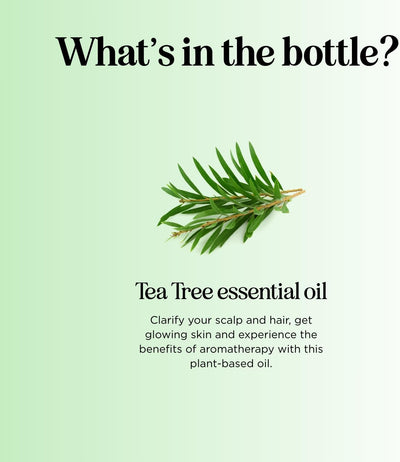 Pure Tea Tree Oil for Skin - 100% Pure Tea Tree Essential Oil for Scalp Care Aromatherapy and Natural Cleaning Solution - Super Potent AAA Non GMO Australian Tea Tree Oil for Hair Skin and Nails