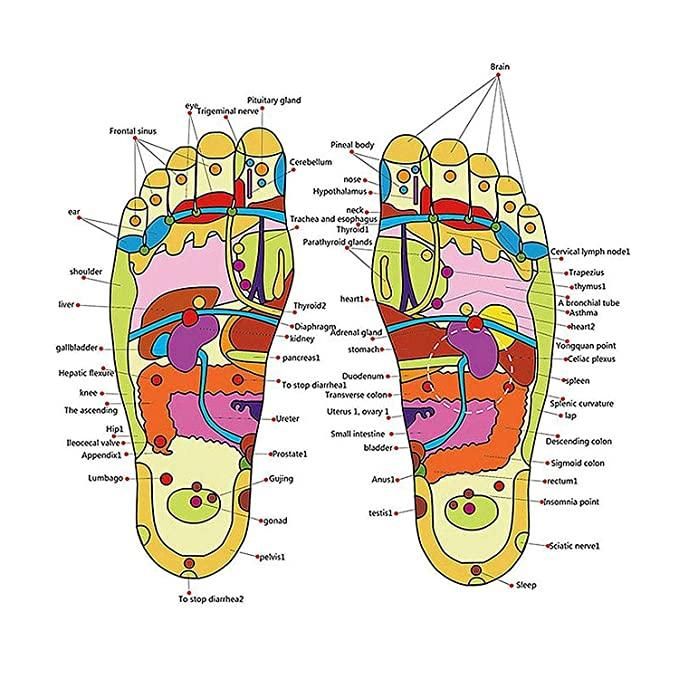 ACUPRESSURE FOOT RELAXER MASSAGER SLIPPER Everrd