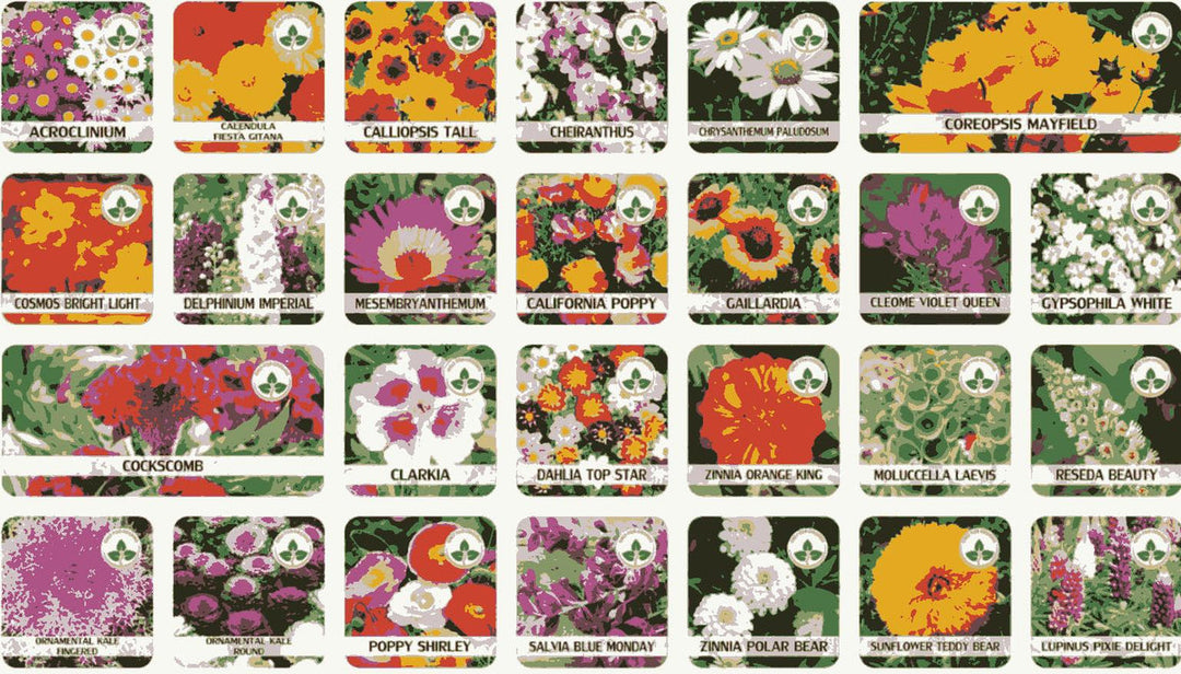 Varieties of Flower Seeds (Pack of 100) + Plant Growth Supplement Free!! Everrd