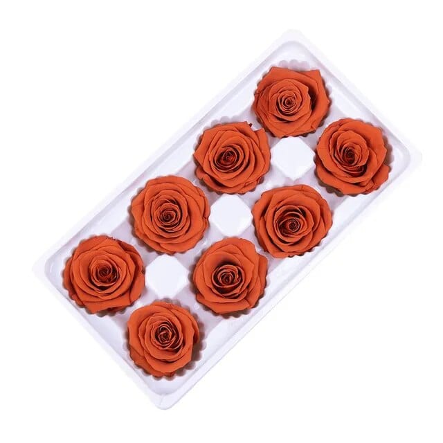 8Pcs/Box Preserved Rose Immortal B Grade Roses 4-5CM Diameter DIY Wedding Decoration Christmas Eternal Flower Of Life Material - EVERRD USA