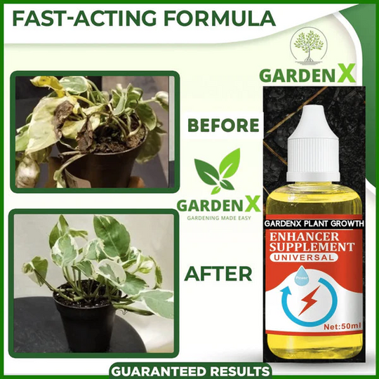 PLANT GROWTH ENHANCER SUPPLEMENT (BUY 1 GET 1 FREE) Everrd