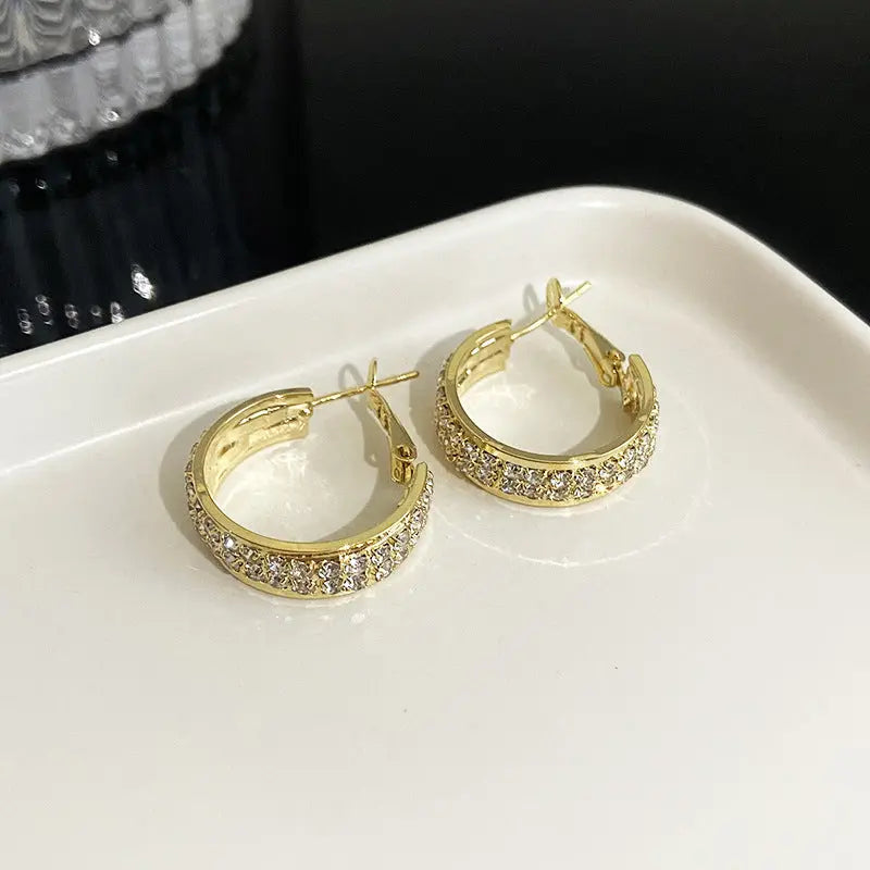 Lymphatic activity hoop earrings（Limited Time Discount 🔥 Last Day） - EVERRD USA