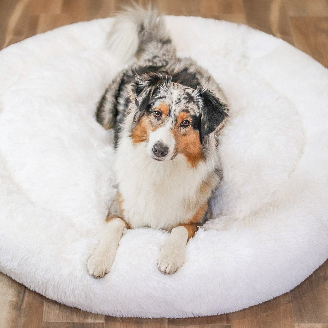 Cloud Comfort Canine Sleeper - EVERRD USA