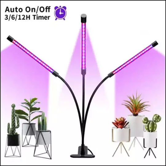 LED Fleshy Fill Plant Growth Lamp With Dimming - EVERRD USA