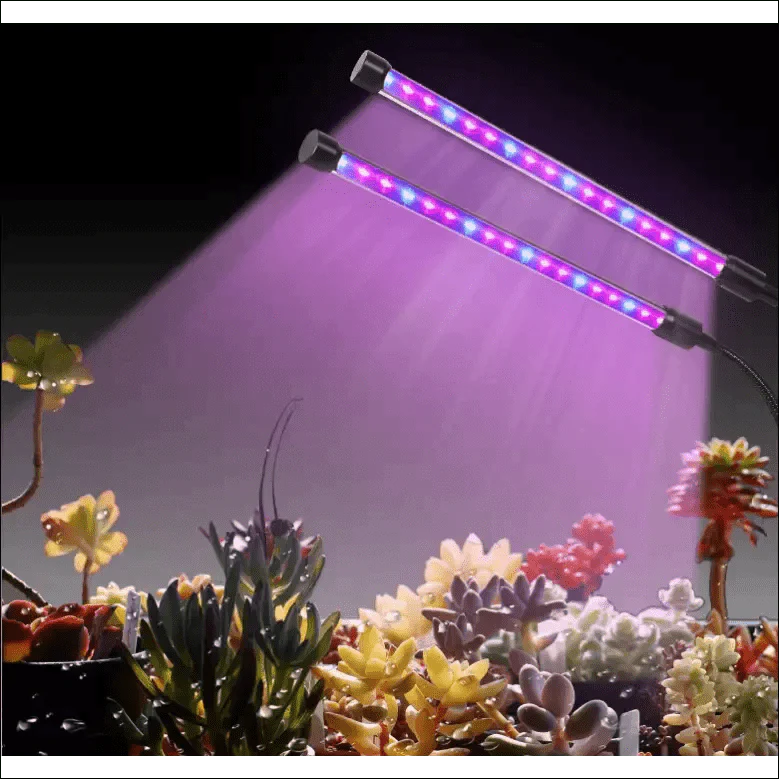 LED Fleshy Fill Plant Growth Lamp With Dimming - EVERRD USA