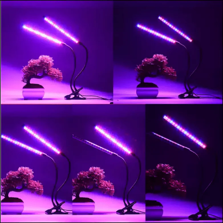 LED Fleshy Fill Plant Growth Lamp With Dimming - EVERRD USA