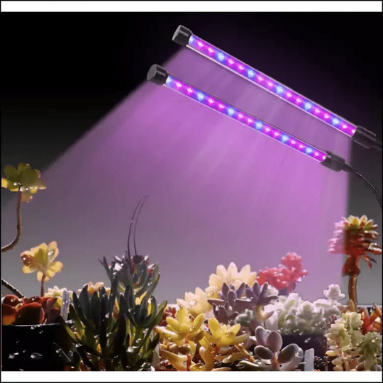 LED Fleshy Fill Plant Growth Lamp With Dimming - EVERRD USA