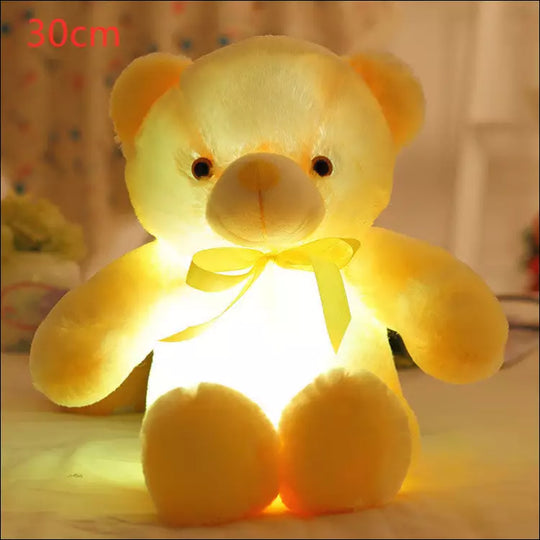 Luminous Teddy Bear - EVERRD USA