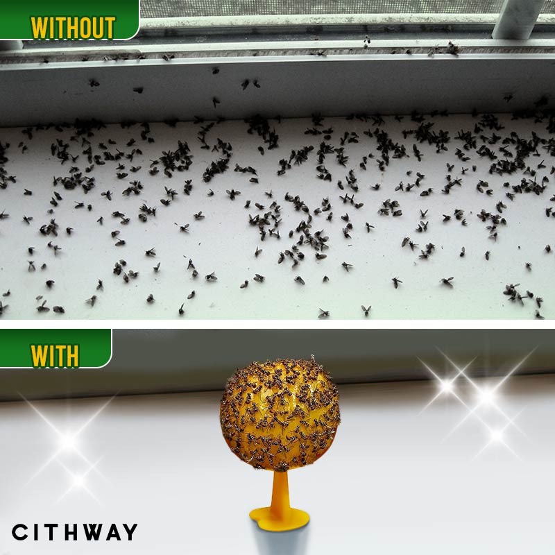 Cithway™ Sticky Fly Trap Ball - EVERRD USA