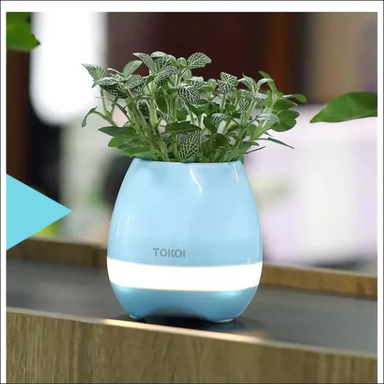 Potanic - Smart Flower Pot - EVERRD USA