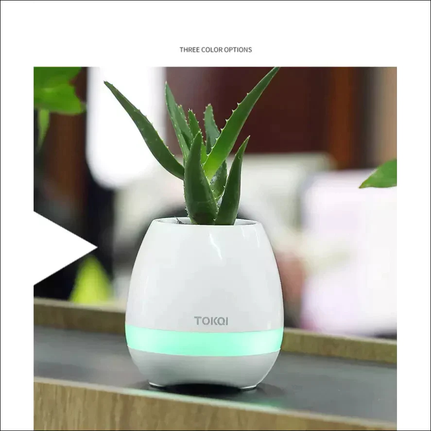 Potanic - Smart Flower Pot - EVERRD USA