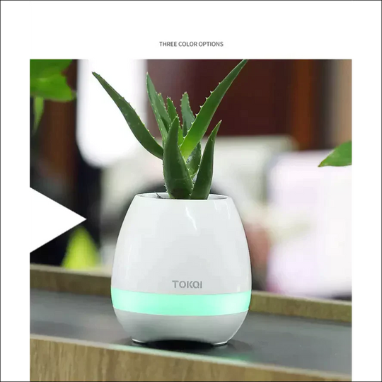 Potanic - Smart Flower Pot - EVERRD USA