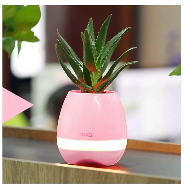 Potanic - Smart Flower Pot - EVERRD USA