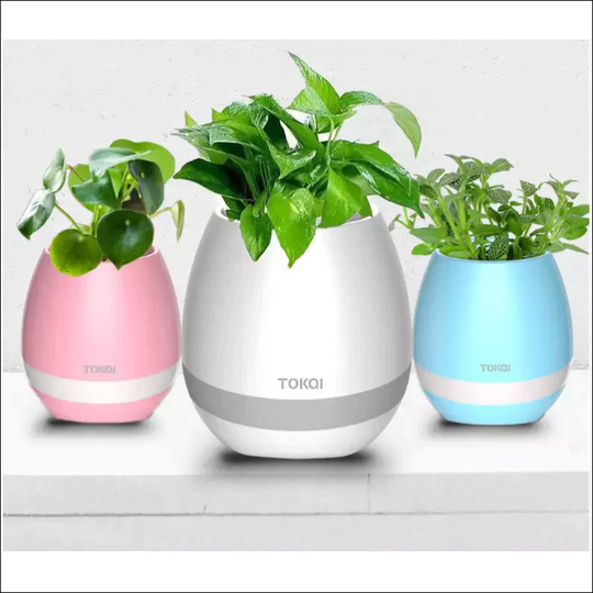 Potanic - Smart Flower Pot - EVERRD USA